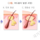 경희동서한의원 이미지