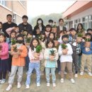 (23.04.18) 청주 동화초, 전교생 생태감수성 함양, 1인 1작물 심기 - 충청도민일보 이미지