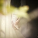 펠리체 웨딩 이미지