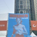 춘천마라톤 2025, 국내 메이저 러닝대회 가을의 전설 춘마의 낭만..✨