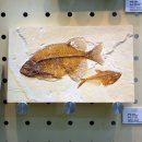 영덕어촌민속전시관 이미지