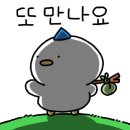춘천명가숯불닭갈비 이미지