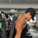 삼두 이미지