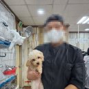 희망애견샵 이미지