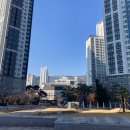 부산 부동산 임장기 with 송년회 - 수영구편 (민락동, 광안동, 남천동)