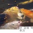 웃음요가 이미지