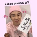 피오컨텐츠