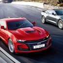 에스에스(SS) 이미지