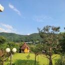 비피펜션 이미지