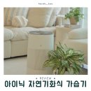 자연in | 아이닉 자연기화식 가습기 iAH0 2 in 1 후기