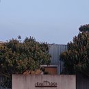 펜션무이 | [제주]제주 애월 감성숙소 내돈내산 후기 &#39;제주무이펜션&#39;