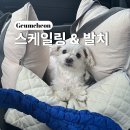 금천 24시 K동물의료센터 이미지