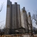박승현치과의원 Daum카페