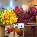 남대문대도집 이미지