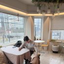 당현천 화장실 | 감성카페, 도그메뉴, 멋진 뷰를 가진 노원 애견동반카페 [바크바]을 추천 합니다