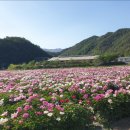 삼가명품한우 이미지