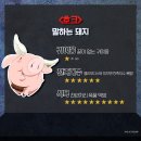 호크 이미지