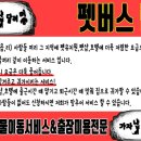 멍택시 이미지