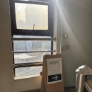 용산-62 | 테라스 날씨를 즐겼던 3월 초 주말 (테라스 카페: 신용산 모센트, 판교 나무사이로)