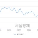 비에스씨코리아