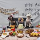 아리댕댕애견카페 이미지