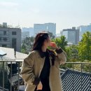 엠피드 이미지