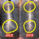 혜라헤어 - 남동구 구월로125번길 60 | 혜라헤어