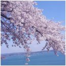 왕지로타리 이미지