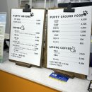 퍼피 그라운드 이미지