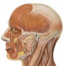 아침맑은한의원 이미지