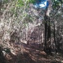 모산봉등산로 이미지