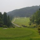 블루골프 이미지