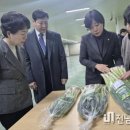 진도종합식품 이미지