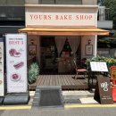 목동6단지(아) 경로당 | 목동 에그타르트 맛집 추천: 유어스베이크샵 목동점 후기 (홍콩 안 가도 되는 맛)
