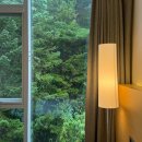 비전해수사우나 | [양양] 낙산비치호텔ㅣ비전망뷰(숲뷰), 338호, 체크인 꿀팁, 배달, 조식