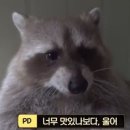 마방로4길 네이버블로그