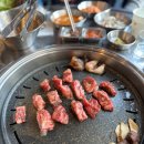 이팔사팔 이미지