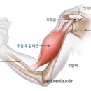 힙존짐