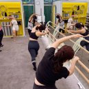 비타릴리스 이미지