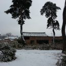 소나무정원 이미지