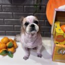 양덕동275 이미지