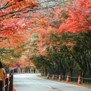 세라비 이미지