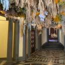 노을약국 이미지