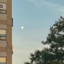 울산 현대예술관 소공연장 네이버블로그