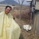 수호일농장 네이버블로그