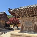 황성공원 | 양산 통도사 + 경주 황성공원 천년맨발걷기길 후기 | 힐링 산책 코스 추천