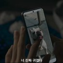 모범낚시