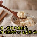 보리·현미 먹었더니, 몸의 변화가? vs 조심할 사람? 이미지