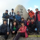 양산신-2011 이미지