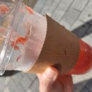 학교앞다방 이미지